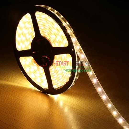 LED DÁN 5M KHÔNG KEO VÀNG