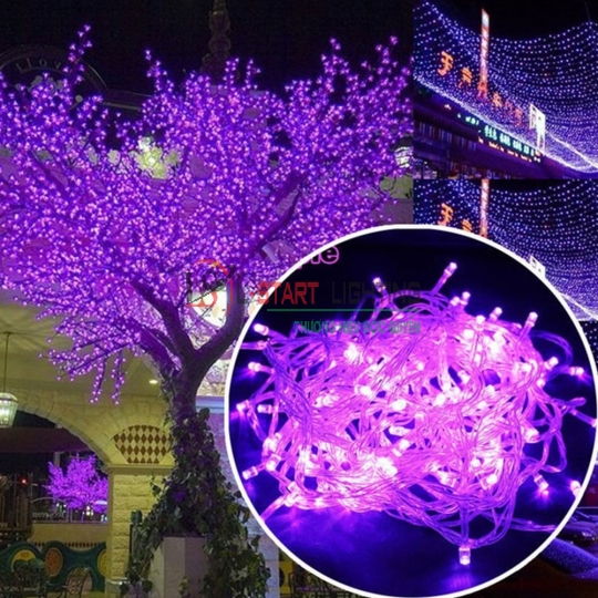 ĐÈN CHỚP DÂY TÍM