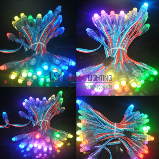 LED QUẢNG CÁO RUỒI 