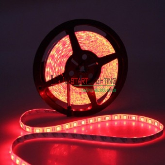 LED DÁN 5M CÓ KEO ĐỎ