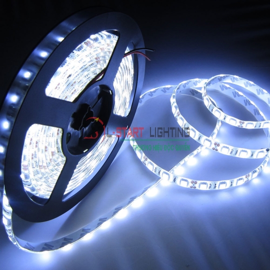 LED DÁN 5M KHÔNG KEO TRẮNG