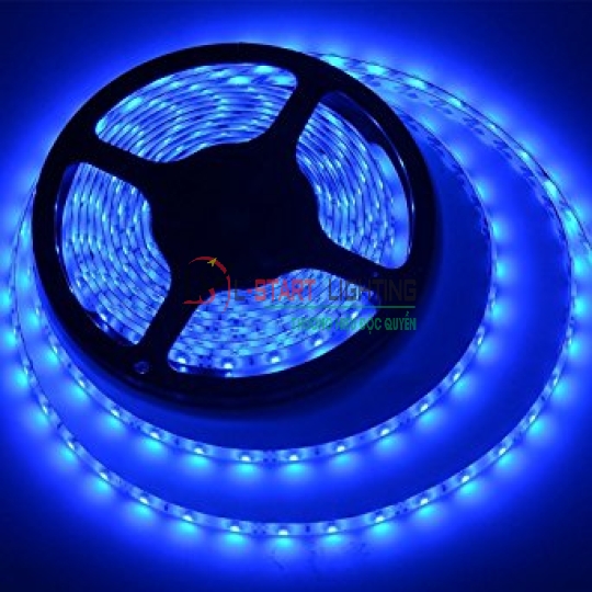 LED DÁN 5M CÓ KEO DƯƠNG